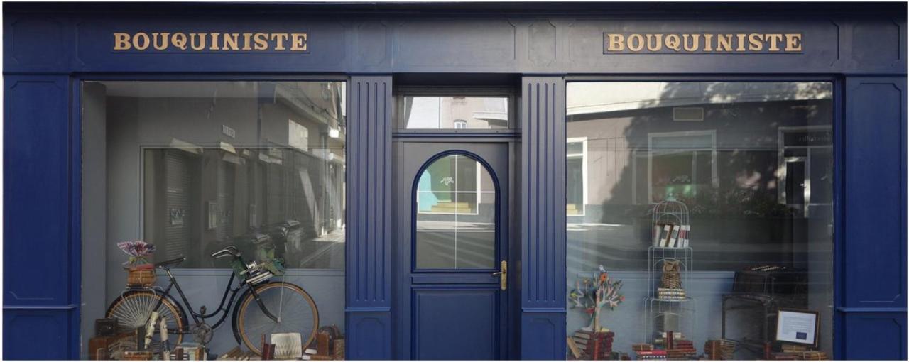 Le Bouquiniste, Centre Historique, Fibre, Ess, Rez-De-Chaussee, Bedinshop Romans-sur-Isère Exterior foto