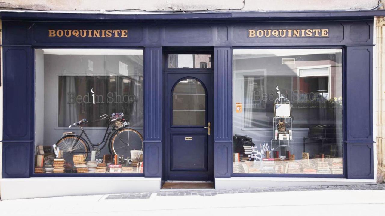 Le Bouquiniste, Centre Historique, Fibre, Ess, Rez-De-Chaussee, Bedinshop Romans-sur-Isère Exterior foto