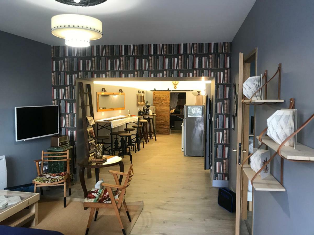 Le Bouquiniste, Centre Historique, Fibre, Ess, Rez-De-Chaussee, Bedinshop Romans-sur-Isère Exterior foto